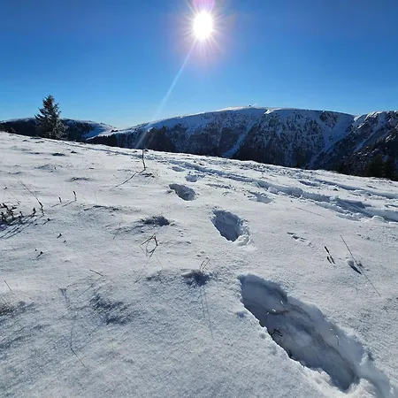 Vila Le Treizieme Ciel ! Gérardmer