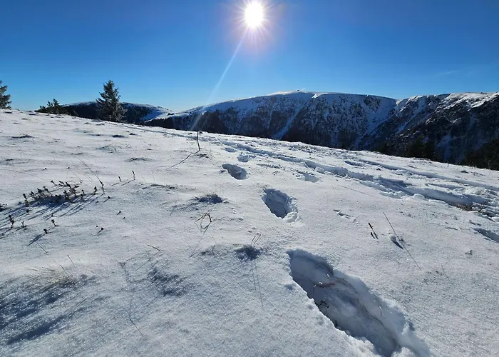 Vila Le Treizieme Ciel ! Gérardmer